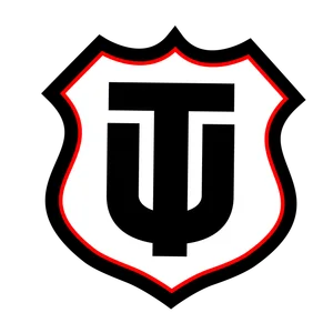 Técnico Universitario